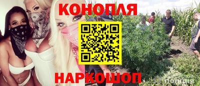 spice Боровичи